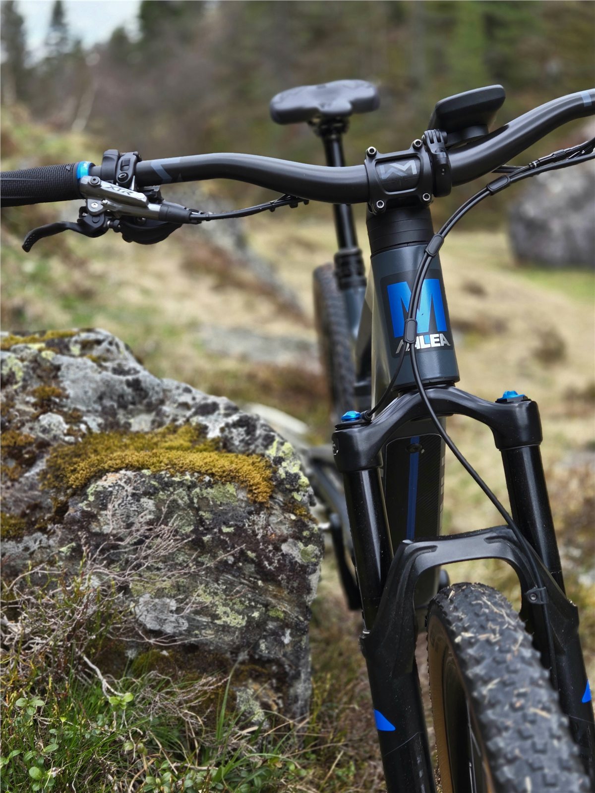Detailansicht eines individuell gestalteten MALEA Mountainbikes